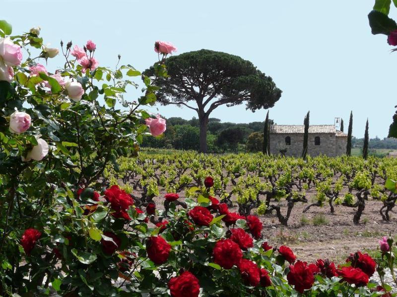 La Bastide Du Clos Des Roses - Teritoria เฟรฌูส ภายนอก รูปภาพ
